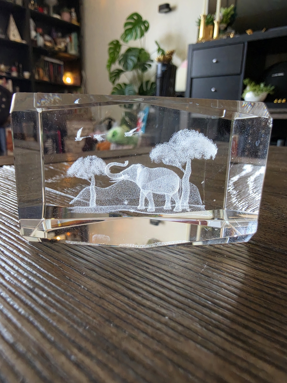 Clear Crystal Elephant Sculpture Paperweight - Etched Wildlife Motif